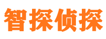 安塞侦探社